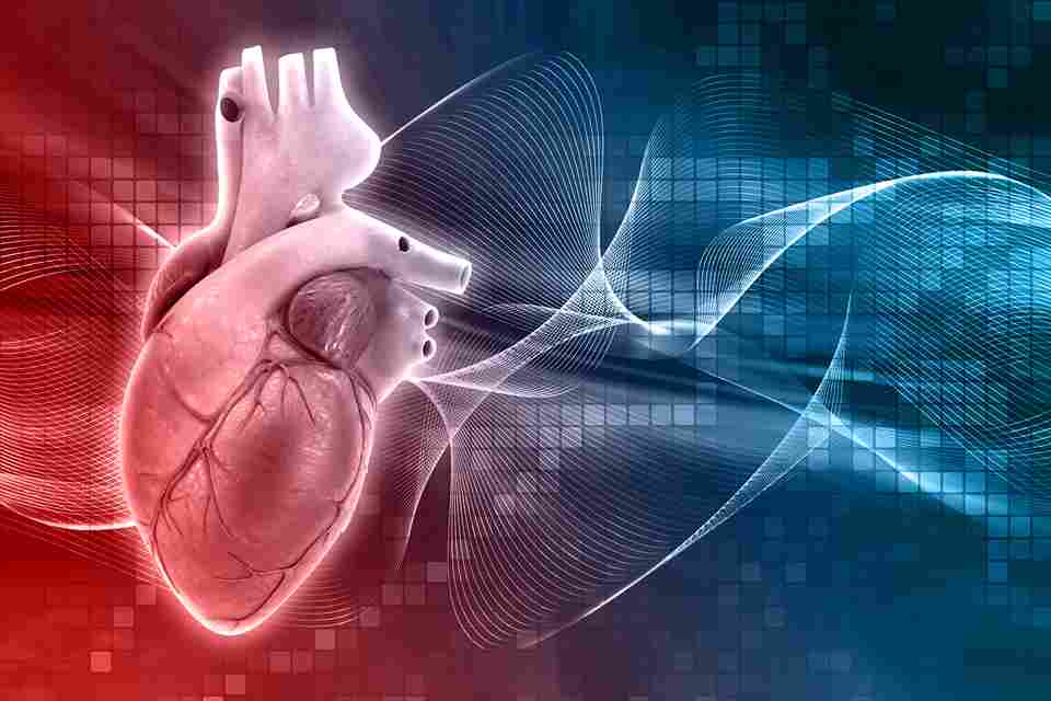 Best paramedical college in Punjab and Chandigarh