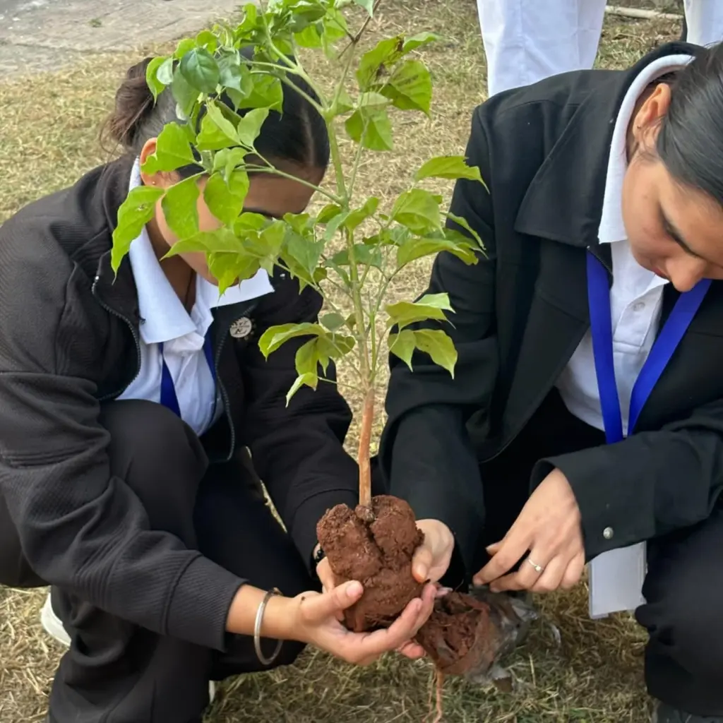 Best College in Chandigarh